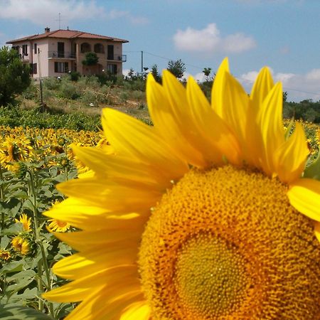 B&B Il Girasole Montepulciano Exterior photo