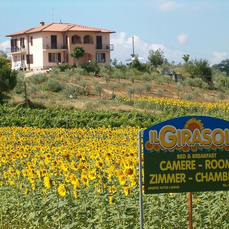 B&B Il Girasole Montepulciano Exterior photo